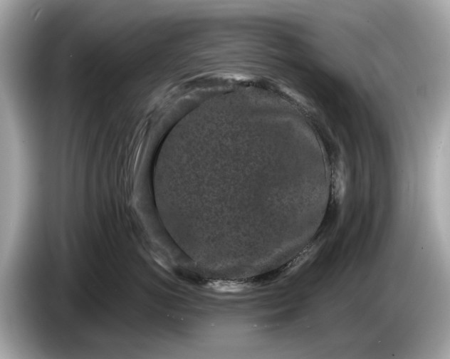 X0000085080766200703191324