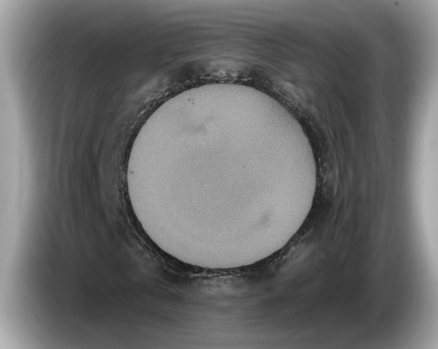 X0000085080769200703191323