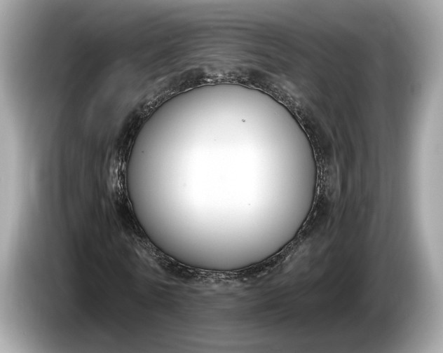 X0000085080770200703191323