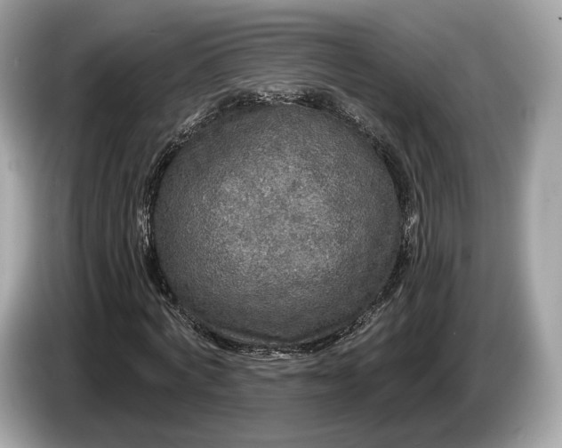 X0000085080772200703191323