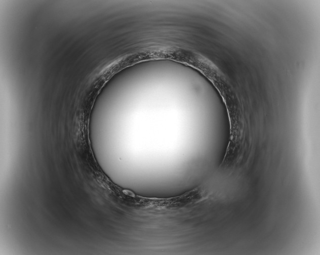 X0000085080773200703191323