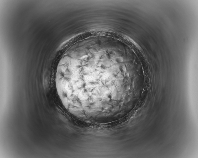 X0000085080775200703191323