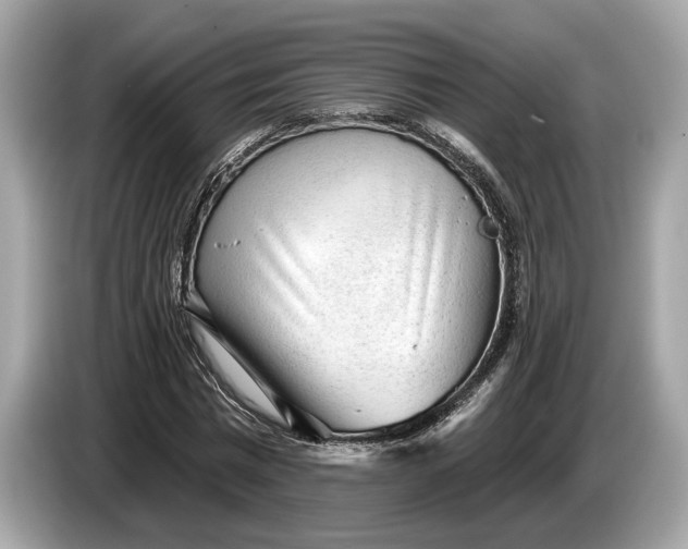 X0000085080777200703191323