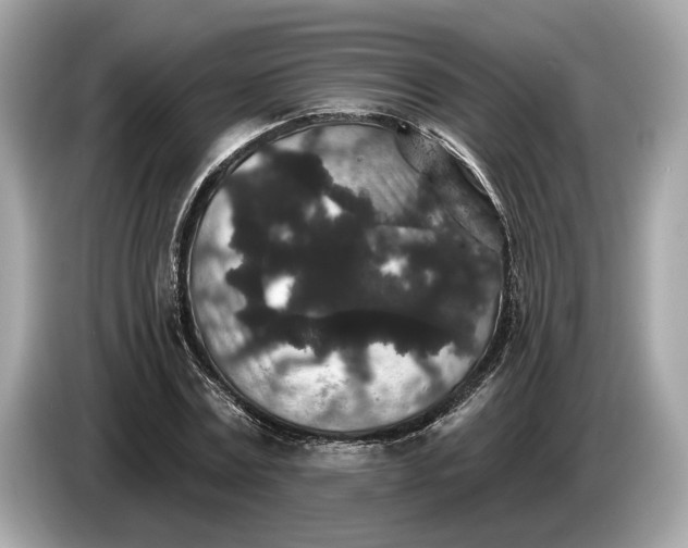 X0000085080779200703191323