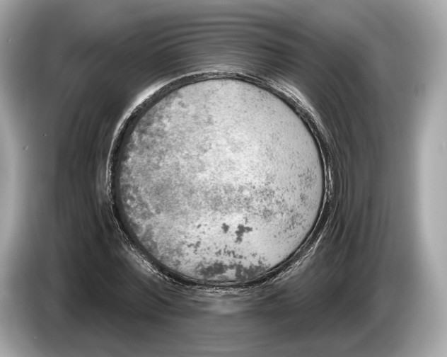 X0000085080780200703191323