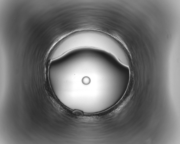 X0000085080781200703191323