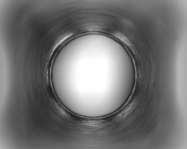 X0000085080782200703191323