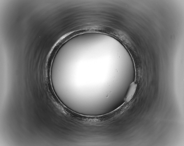 X0000085080784200703191323