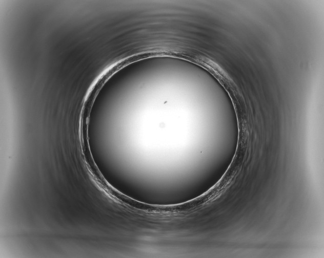 X0000085080788200703191323