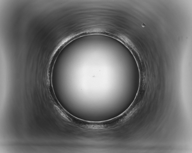 X0000085080789200703191323