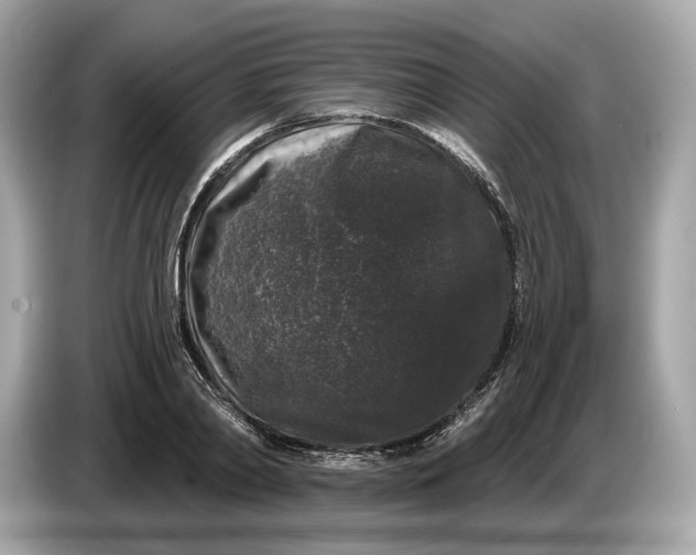 X0000085080790200703191323