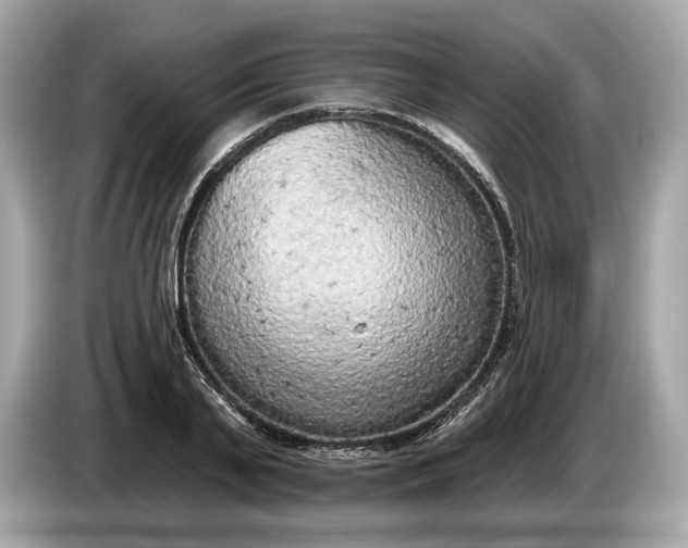 X0000085080791200703191323