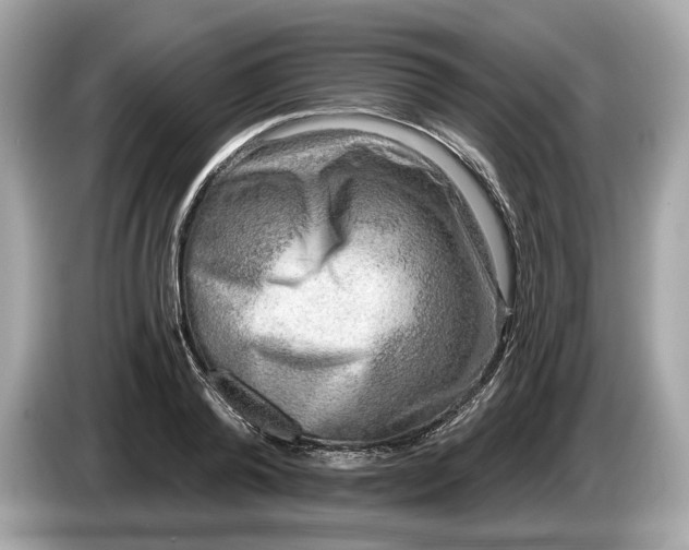 X0000085080792200703191323