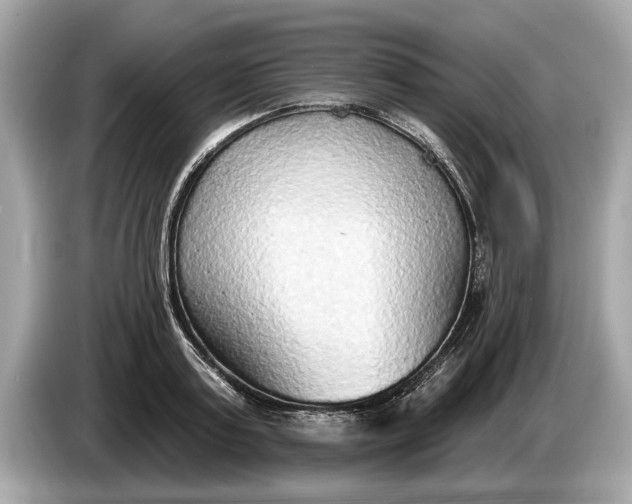 X0000085080795200703191323