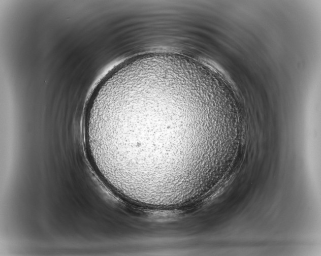 X0000085080796200703191323