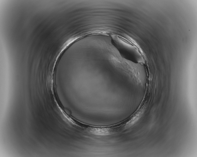 X0000085080802200703191323