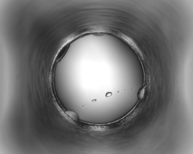 X0000085080805200703191323