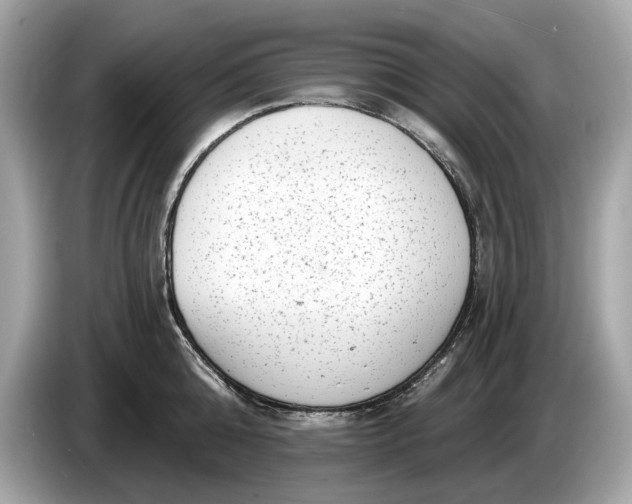 X0000085080808200703191323