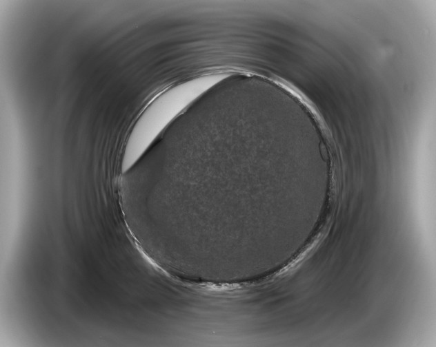 X0000085080809200703191323