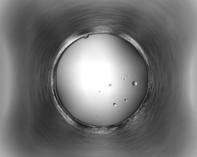 X0000085080811200703191323