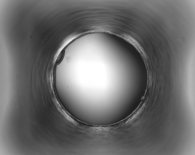 X0000085080812200703191323