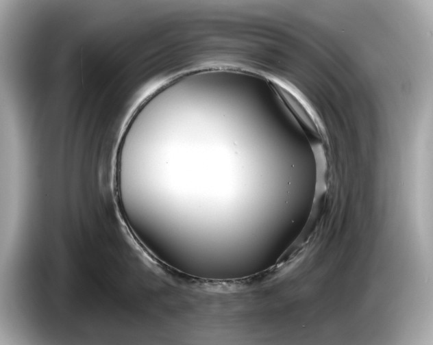 X0000085080815200703191323