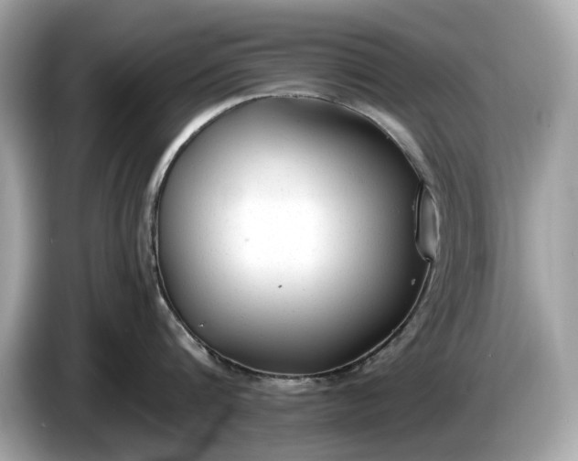 X0000085080816200703191323