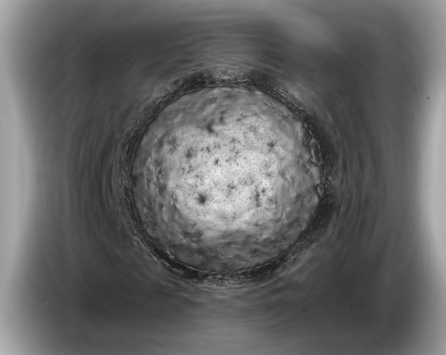 X0000085080817200703191322