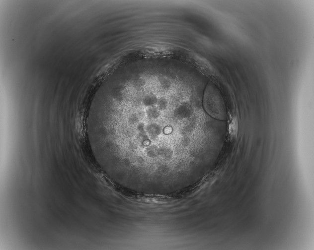 X0000085080819200703191322