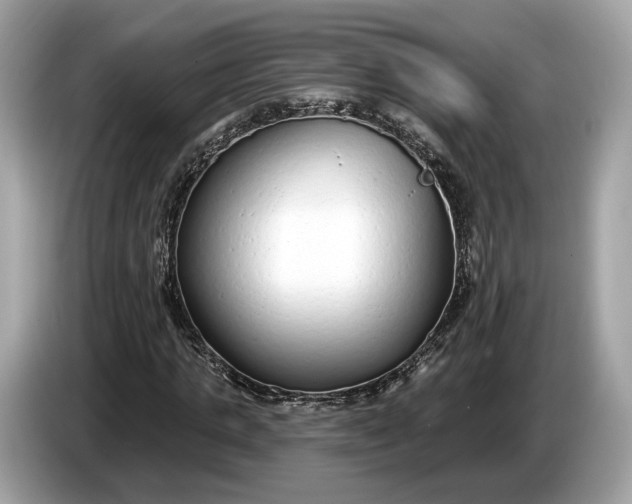 X0000085080821200703191322