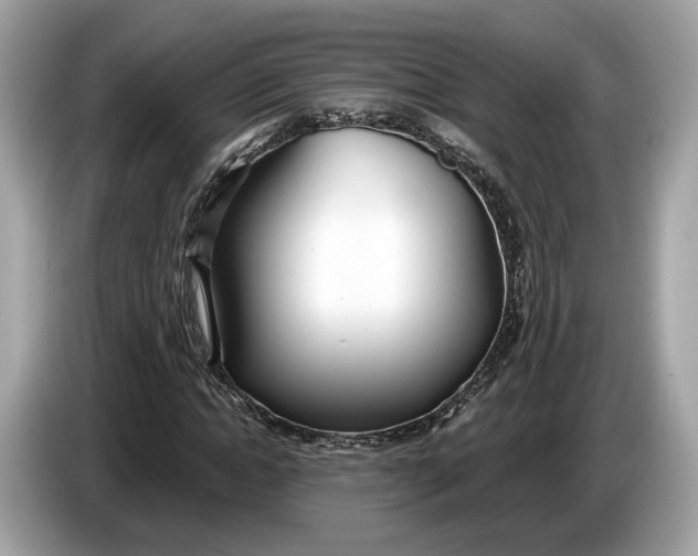 X0000085080822200703191322