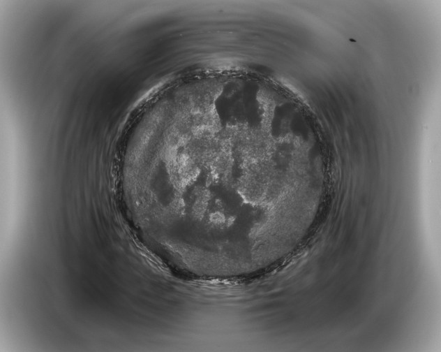 X0000085080823200703191322