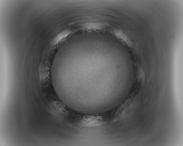 X0000085080824200703191322