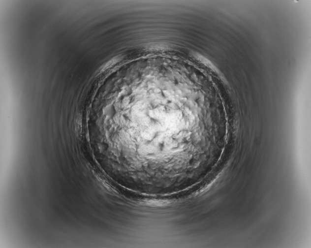 X0000085080825200703191322