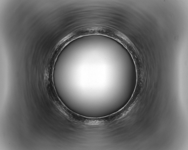 X0000085080826200703191322