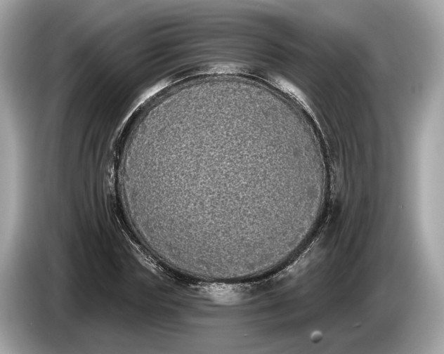 X0000085080827200703191322