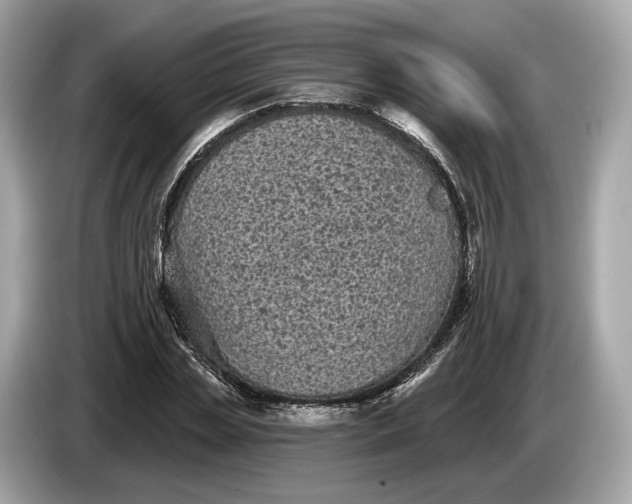 X0000085080829200703191322