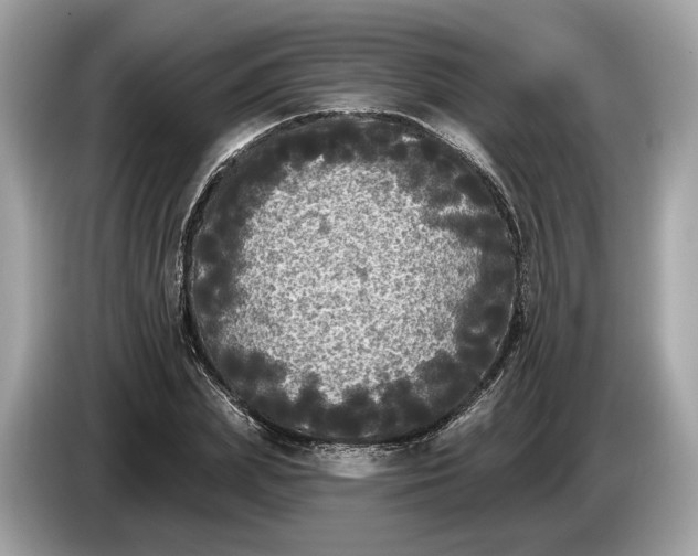 X0000085080831200703191322