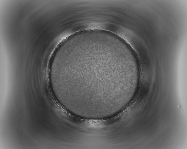 X0000085080832200703191322