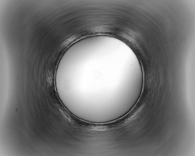 X0000085080833200703191322