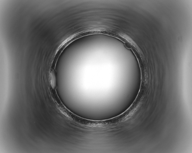 X0000085080834200703191322