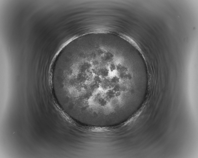 X0000085080835200703191322