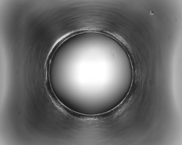 X0000085080838200703191322