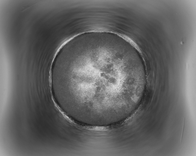 X0000085080839200703191322