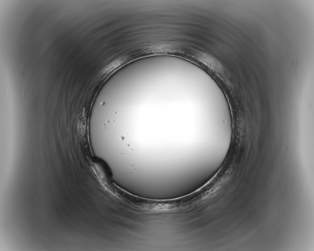 X0000085080841200703191322