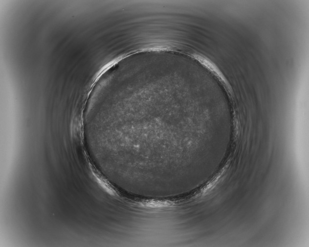 X0000085080842200703191322