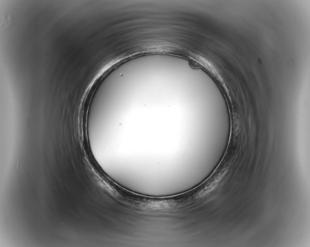 X0000085080843200703191322