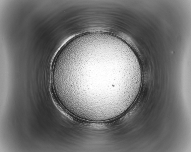 X0000085080844200703191322