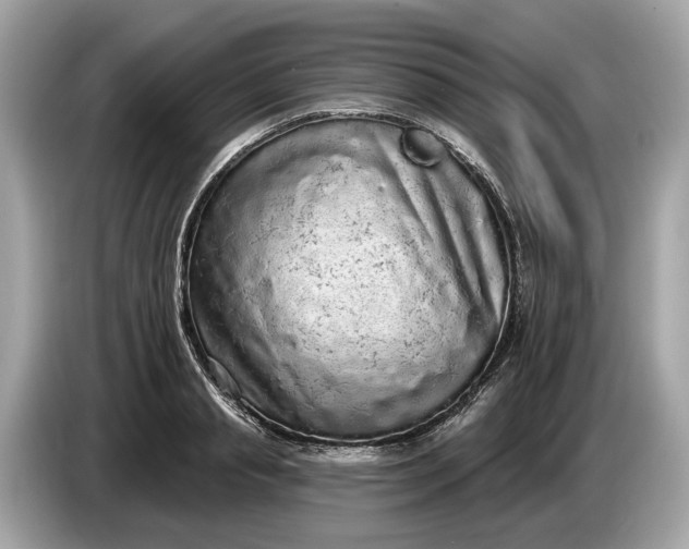 X0000085080845200703191322