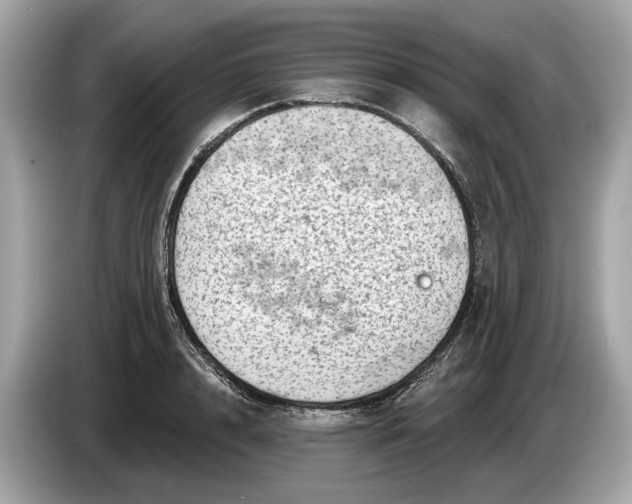 X0000085080848200703191323